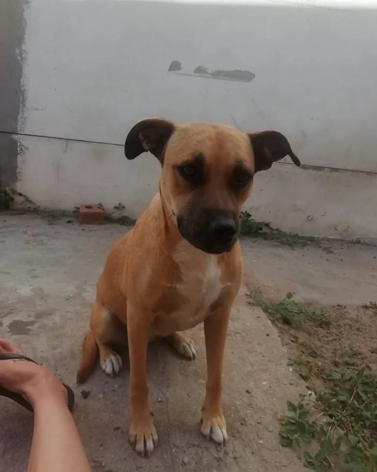 Layla-5 (1)